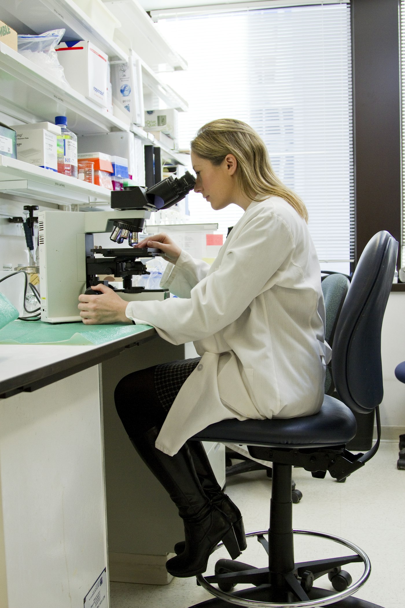 Reference Standards — pharmaceutical category