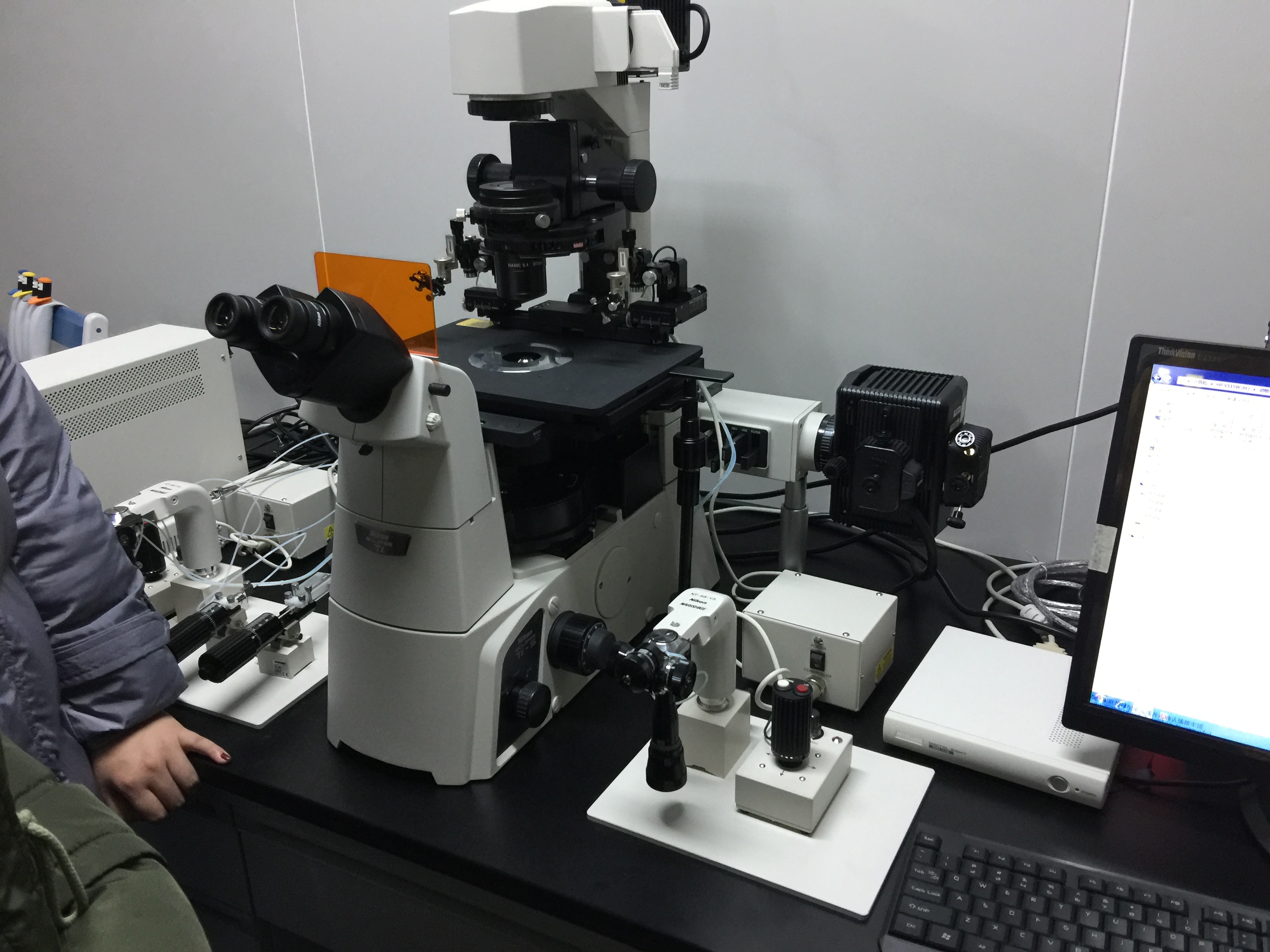 APIs — pharmaceutical category